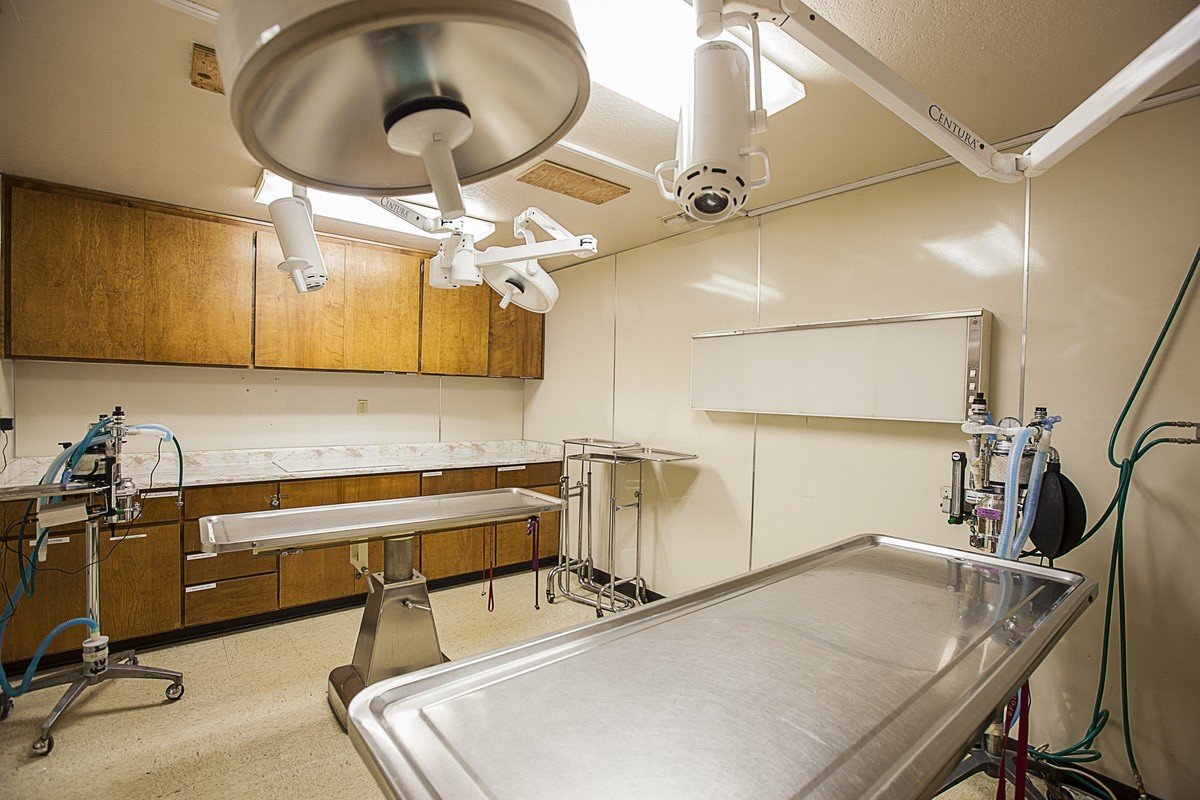 Folsom Veterinary Hospital Medical Services