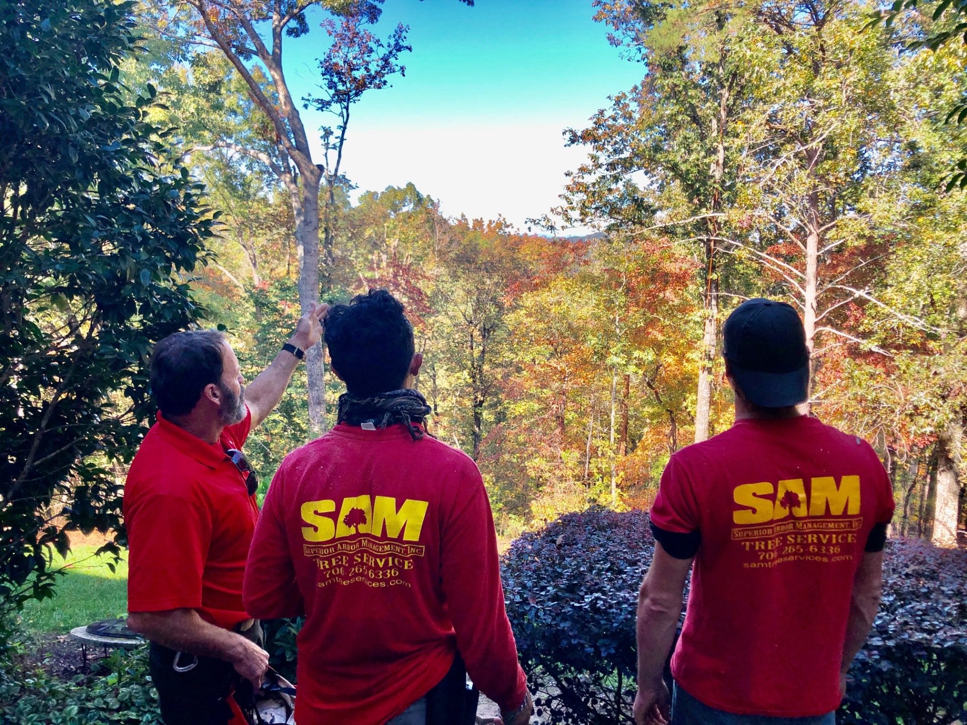 Best Tree Service of Dawsonville 2020 SAM Tree Services