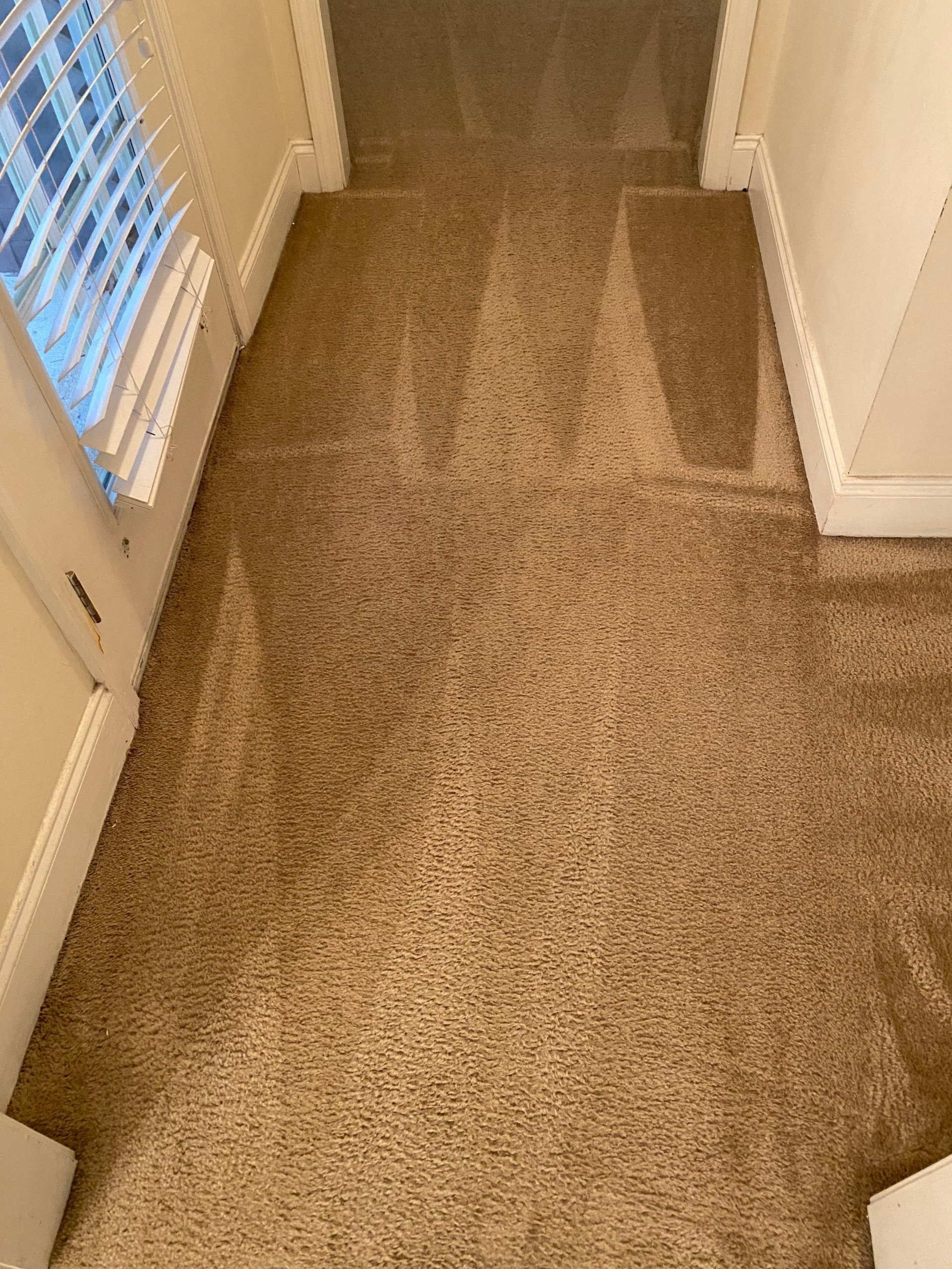 Victory RCS Carpet Cleaning