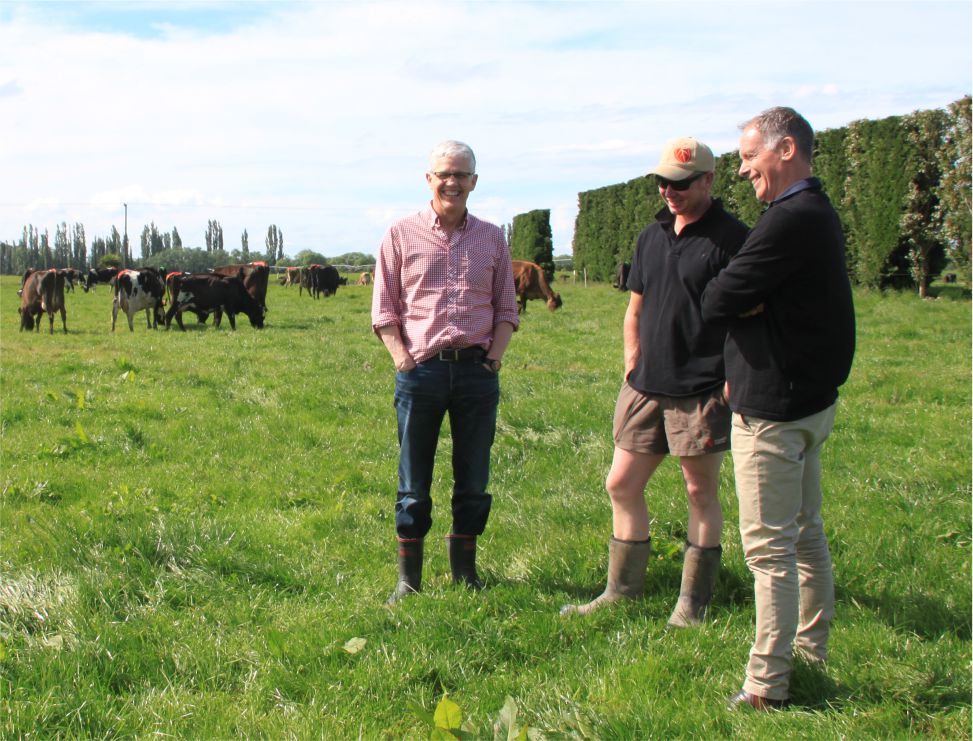 Dairy Farm Management Services