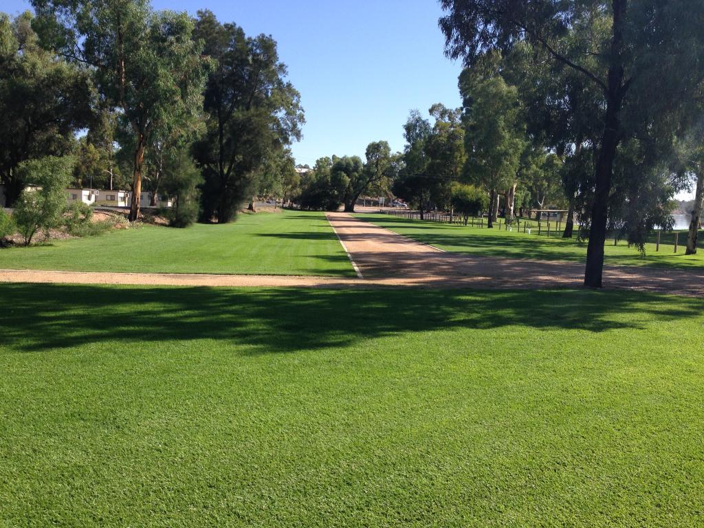 Instant Lawn Delivery Available Walker Flat