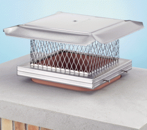 mendota gas fireplace insert picture