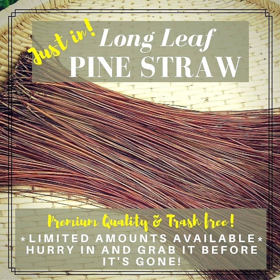 Mulch Delivery Southport, NC Long Leaf Pine Straw