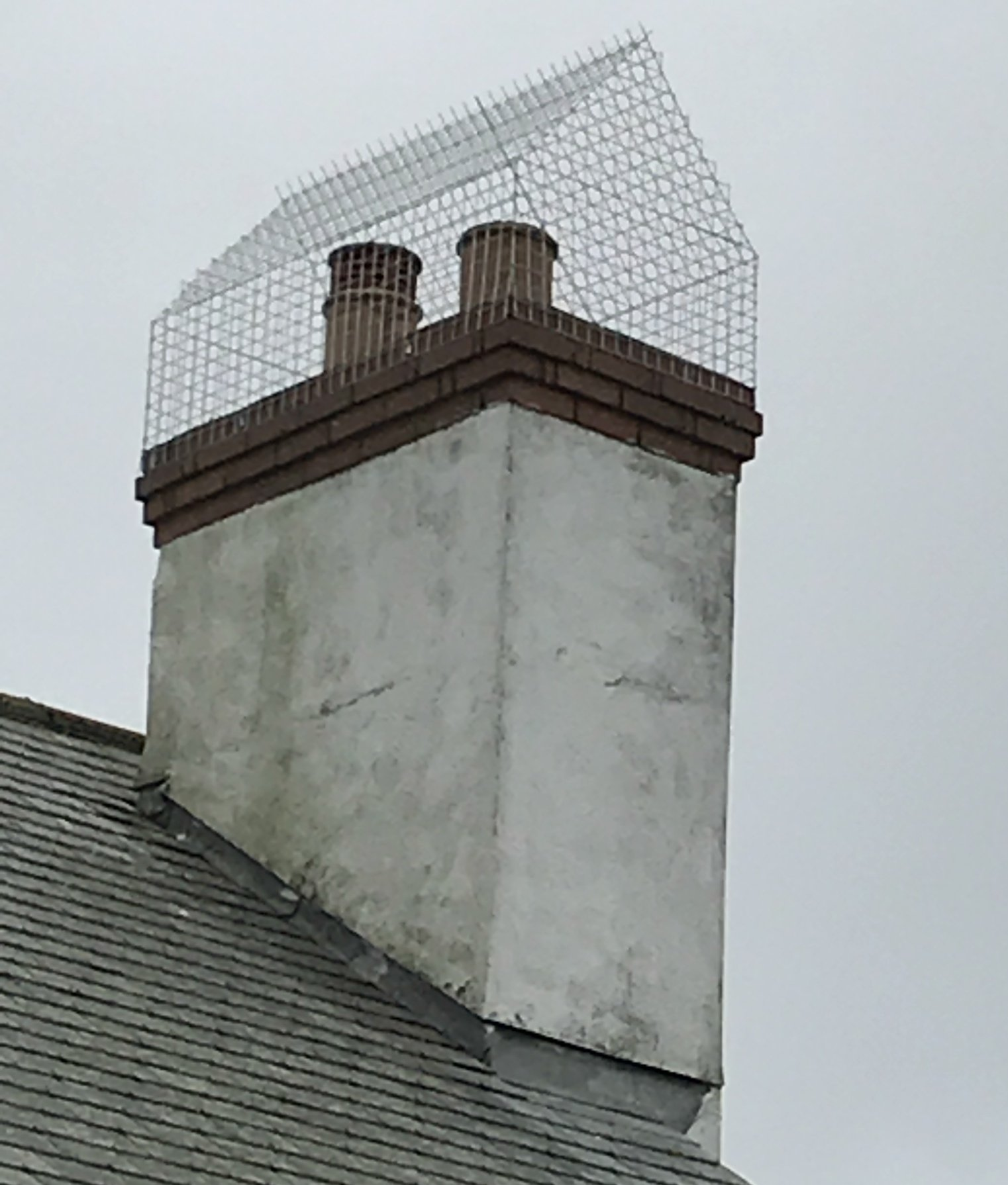 Pest control net systems & spikes | BE-TA-Pest, Falmouth