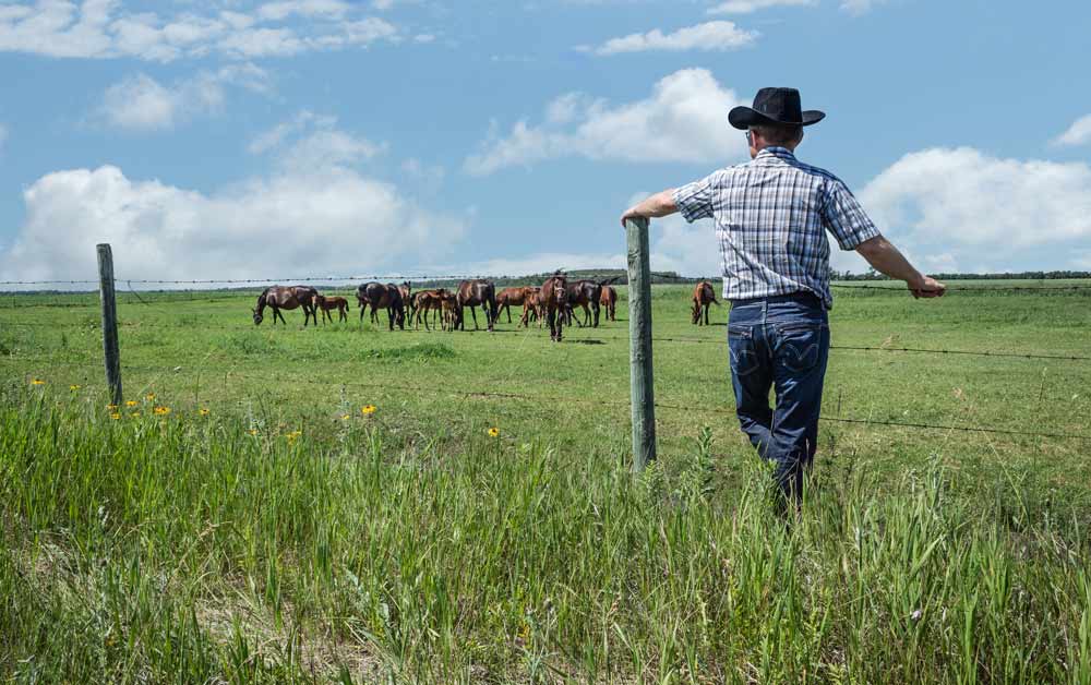 Rural Fencing in Mackay D.T. Fencing