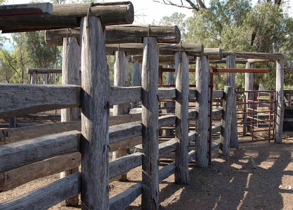 Rural Fencing in Mackay D.T. Fencing