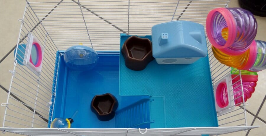 Acuario ABC - Adornos