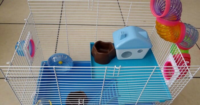 Acuario ABC - Jaulas para hámster