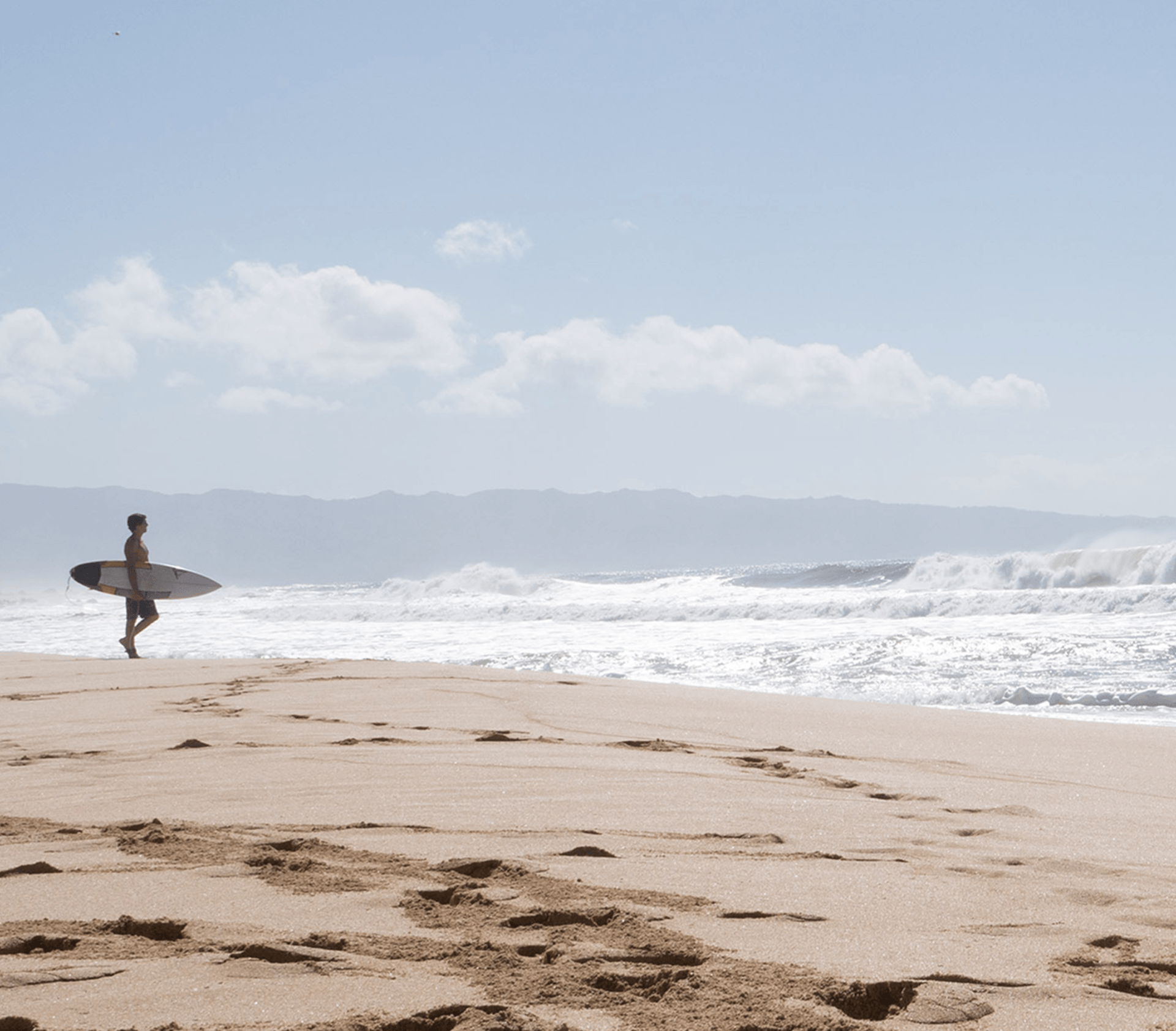 Work With Torrey Pines Property Management In California Work With Torrey Pines Property Management In California