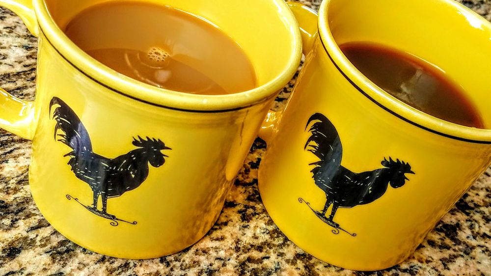 cafe-mimosa-san-clemente-ca