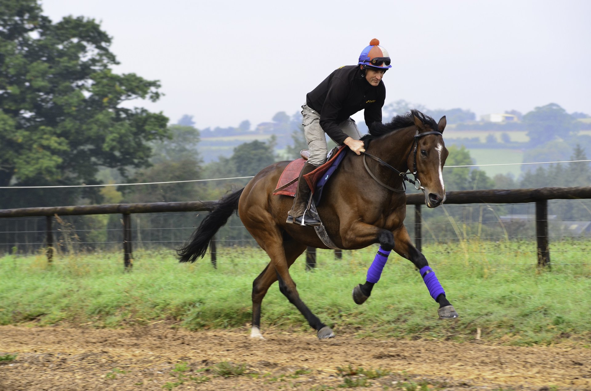 Highquality horse trailers in RossonWye
