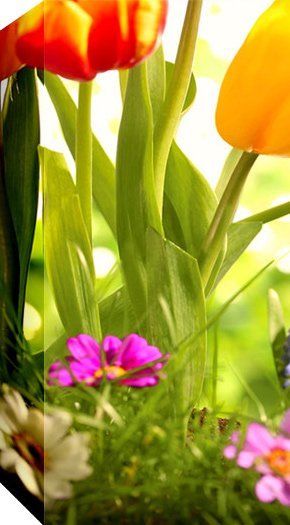 ifs images frames signs canvas printing picture ifs images frames signs canvas printing picture