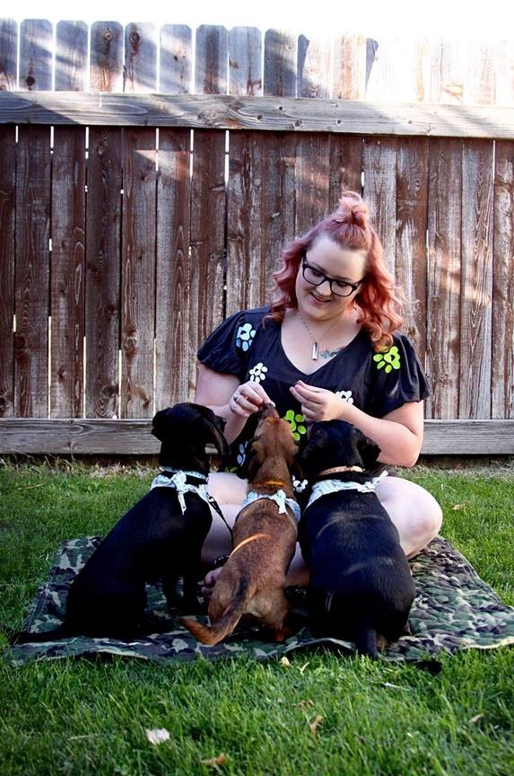 Dog Groomer Idaho Falls, ID Class Act Grooming