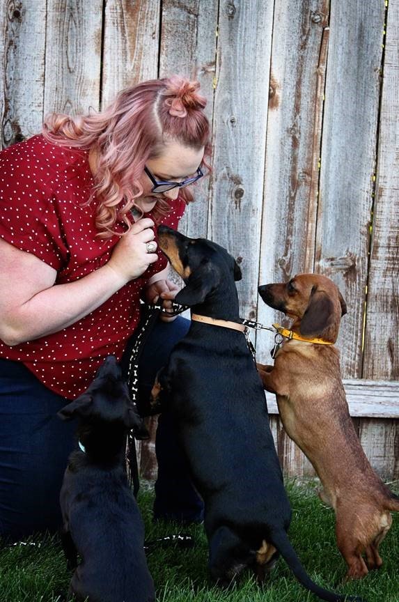 Dog Groomer Idaho Falls, ID Class Act Grooming