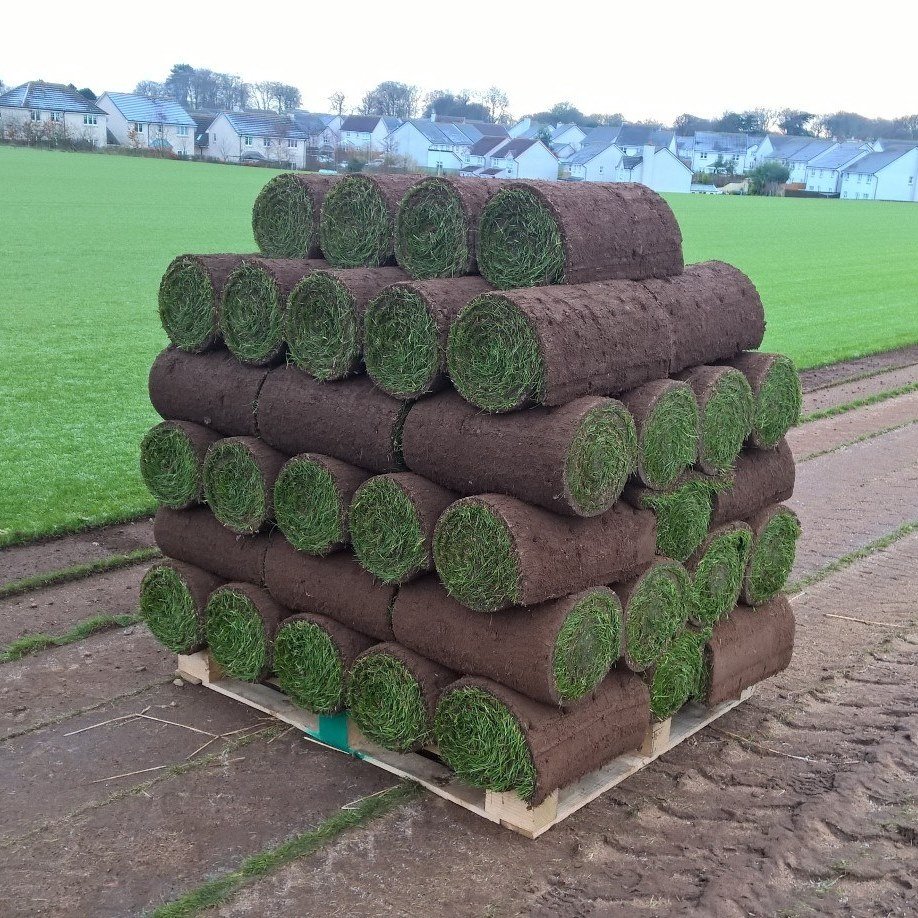 Turf supply Carlogie Turf