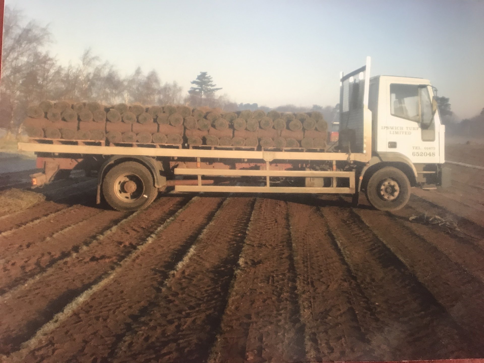 Turf laying Ipswich Ipswich Turf Ltd