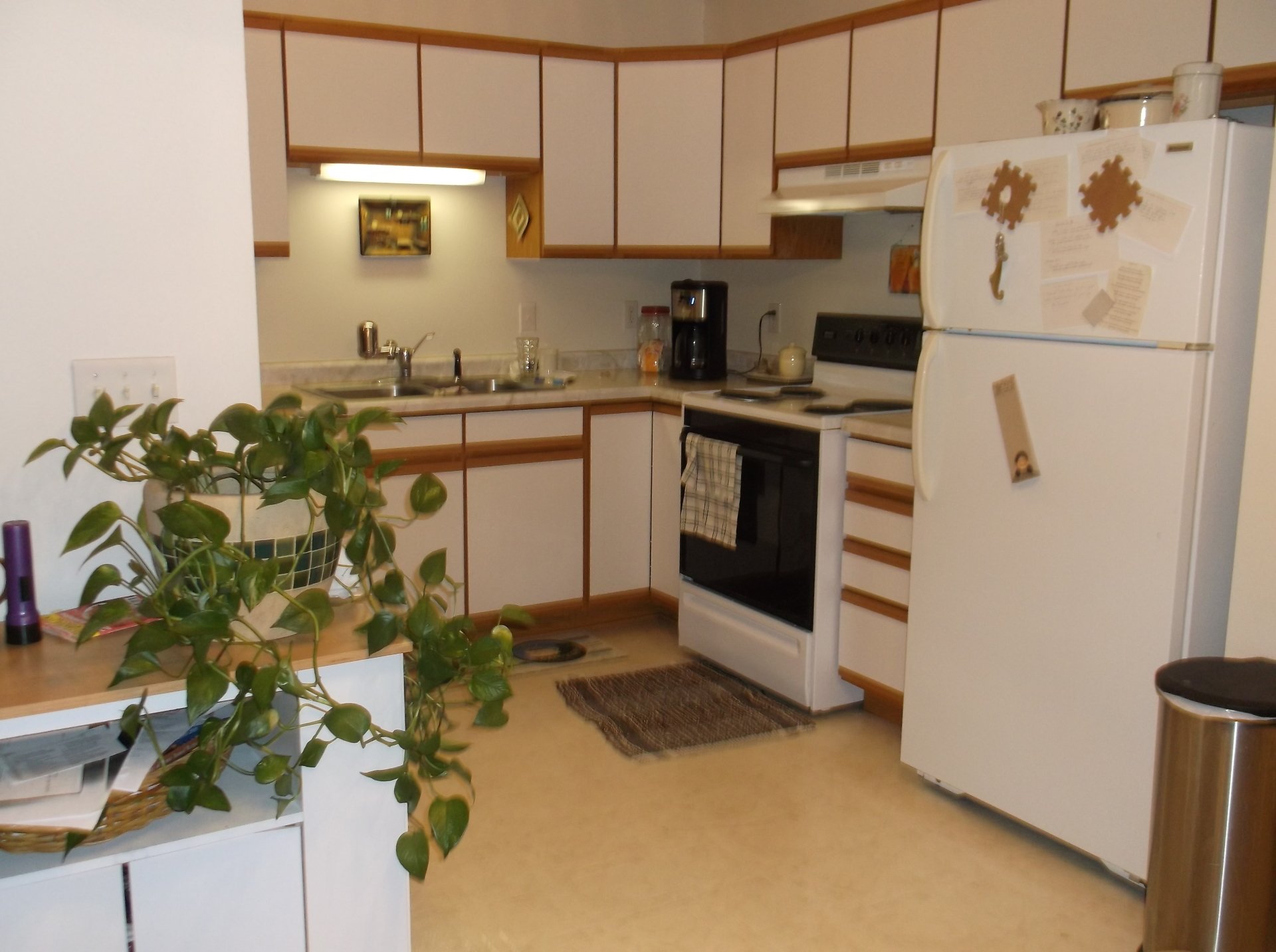 Oasis Apartments Reeseville, WI