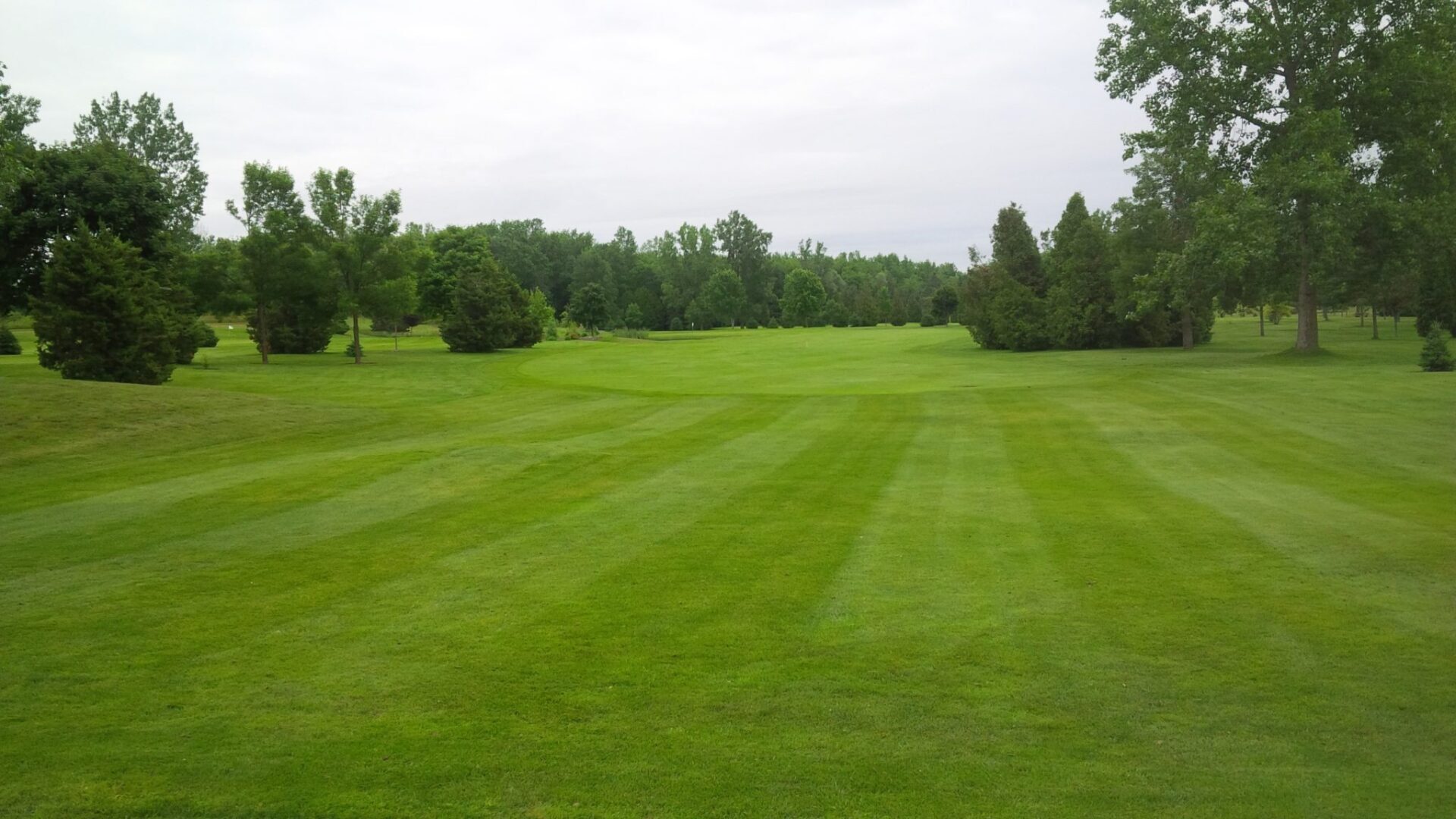 Hamilton Golf Courses Pineland Greens Golf Club Gallery Public