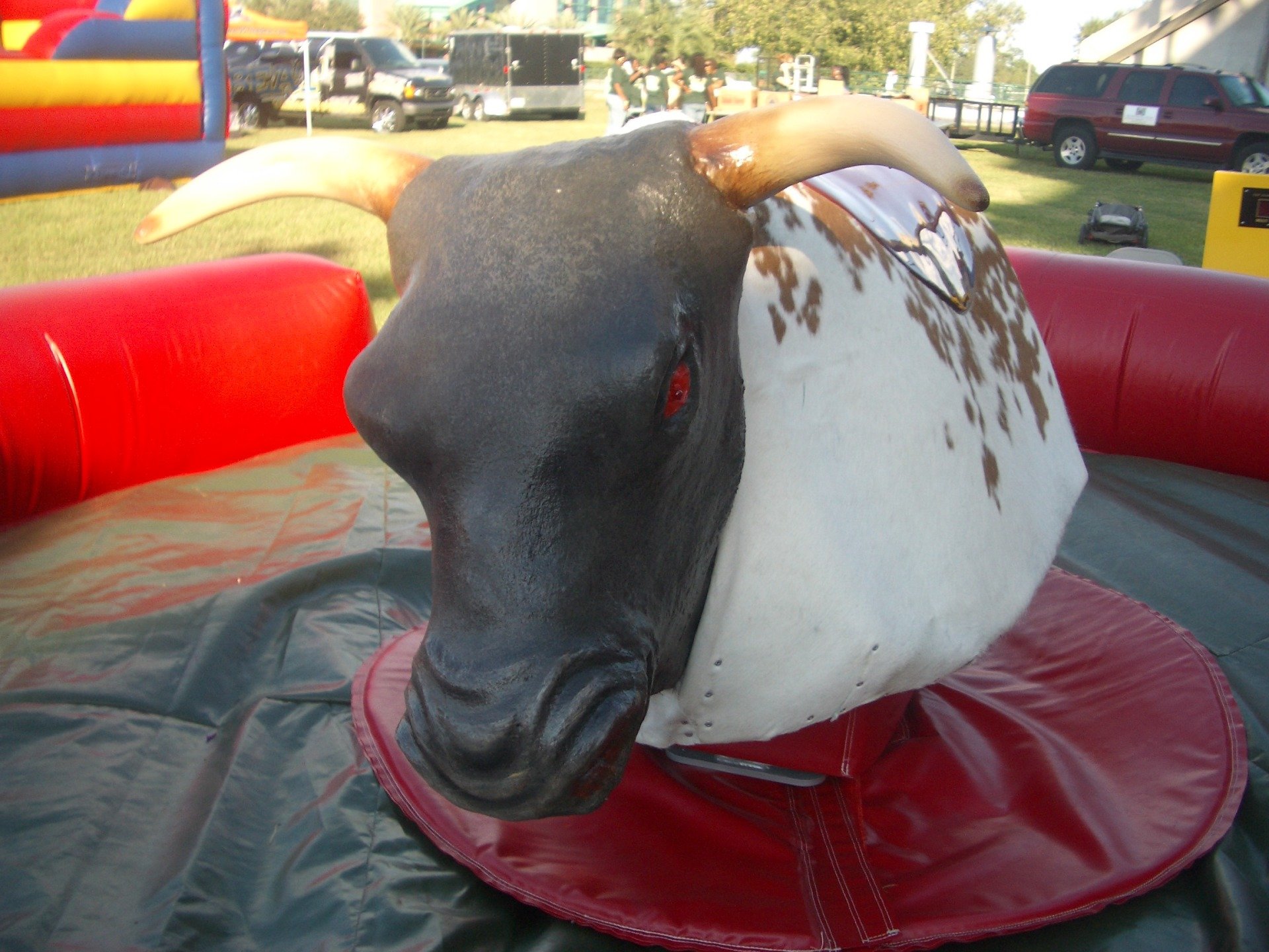 Mechanical Bull Action Promos and Events Tampa Florida