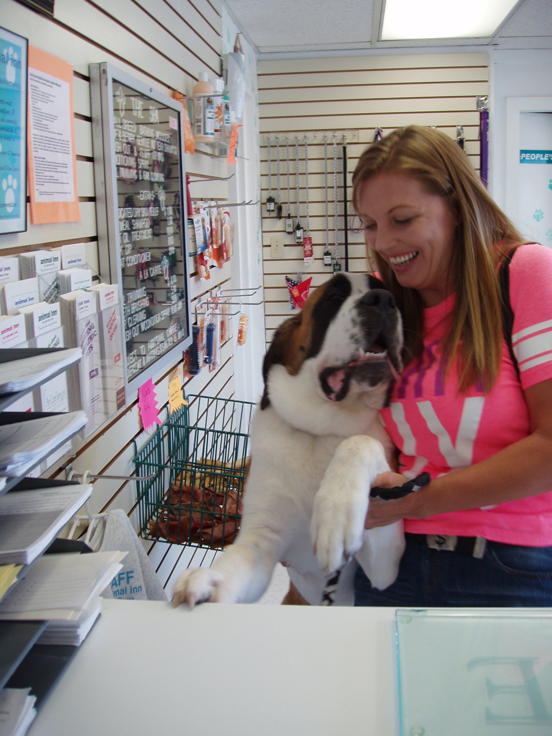 Town Pets Las Vegas 25 - 8ds575g