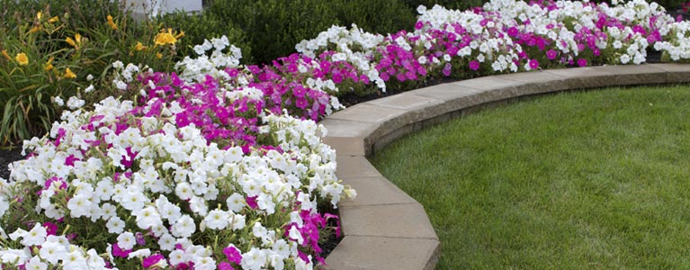 silverdale sand and soil landscaping
