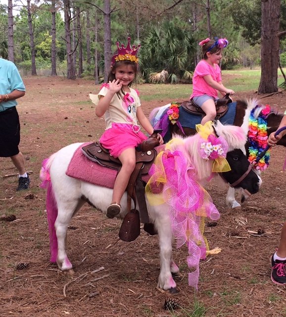 Pony Rides St. Petersburg, FL Blair Entertainment