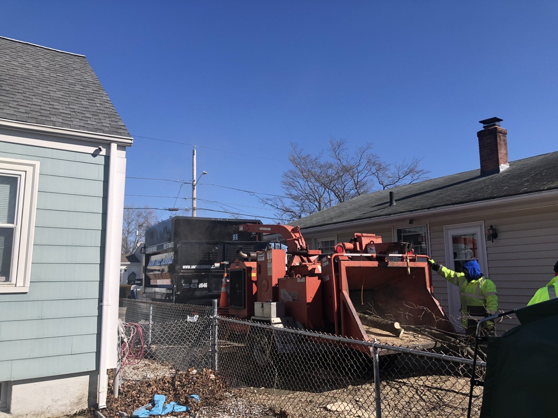 M&M Tree Service Tree Service Professional Tree Services 24/7