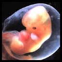 picture for adoption centers near me