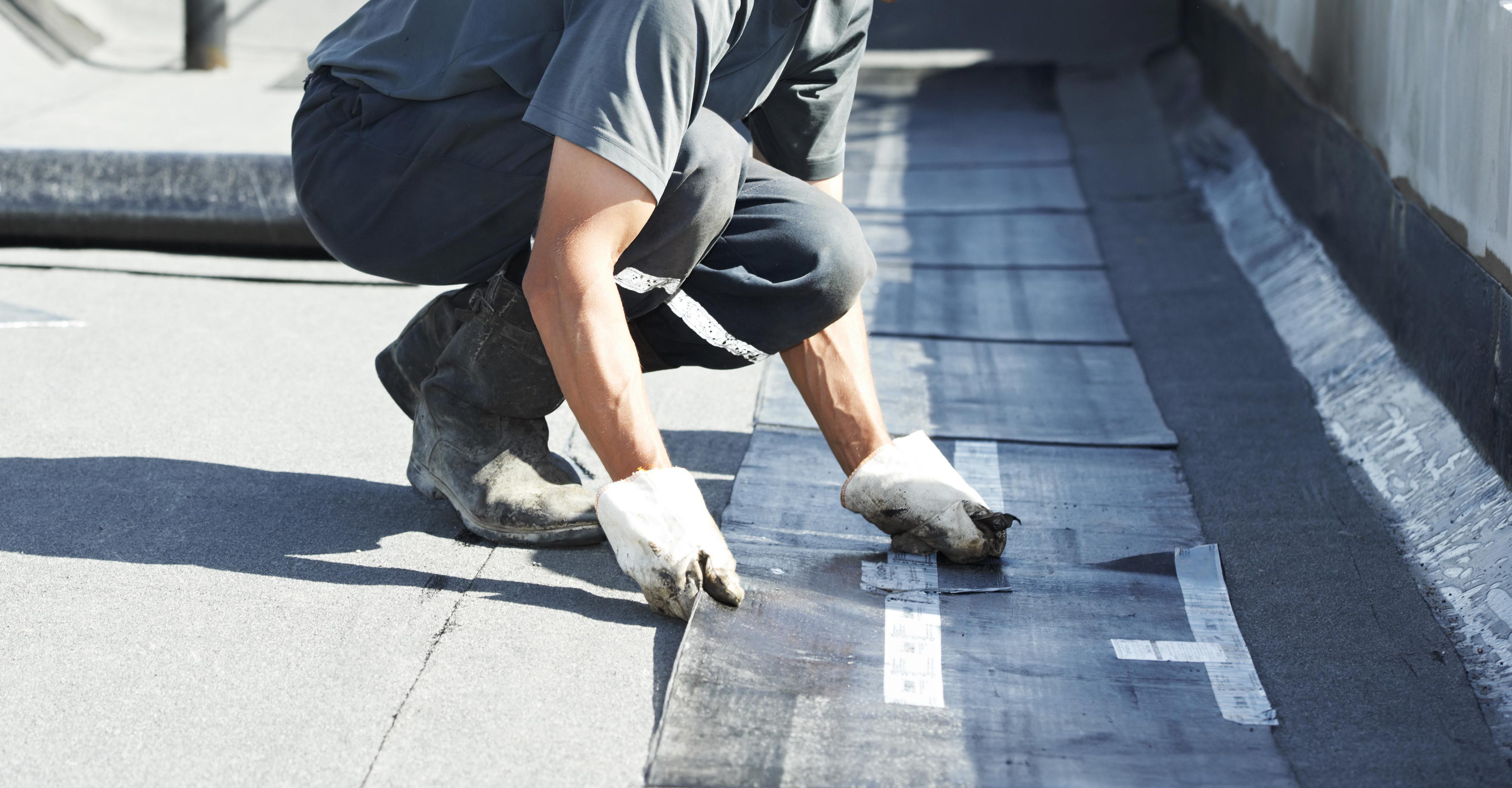 Expert plastering, building, renovations and maintenance in and around Paraparaumu 