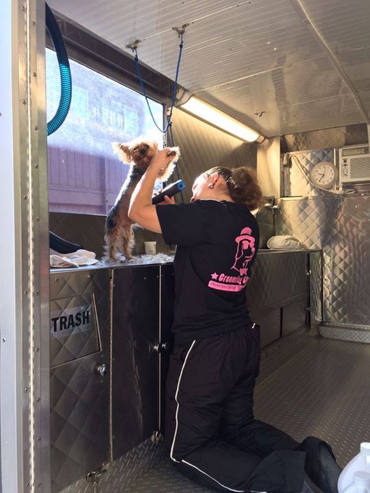 Grooming Stars Mobile Dog Grooming Santa Monica