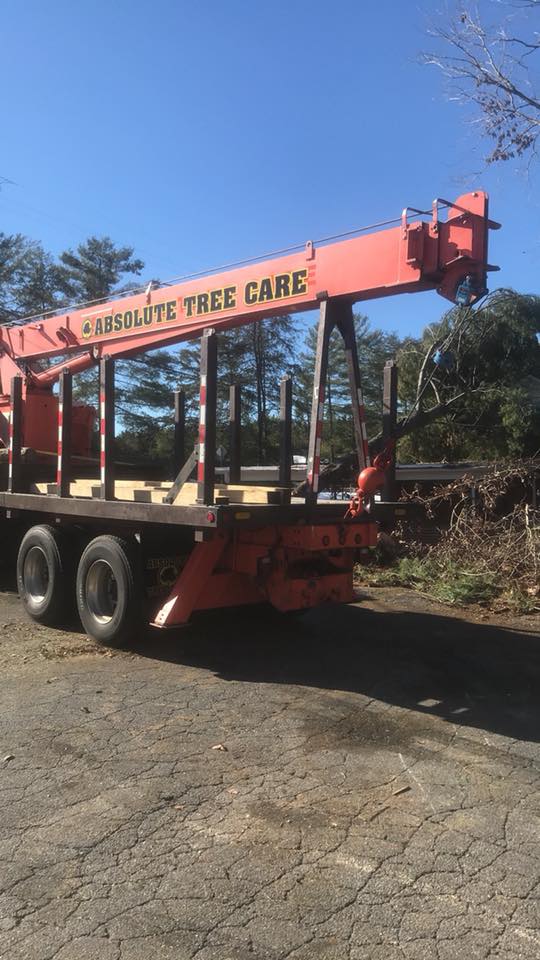 Crane Operations Hickory, NC Absolute Tree Care of Hickory, LLC