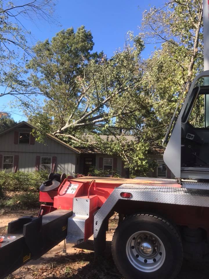 Storm Damage Hickory, NC Absolute Tree Care of Hickory, LLC