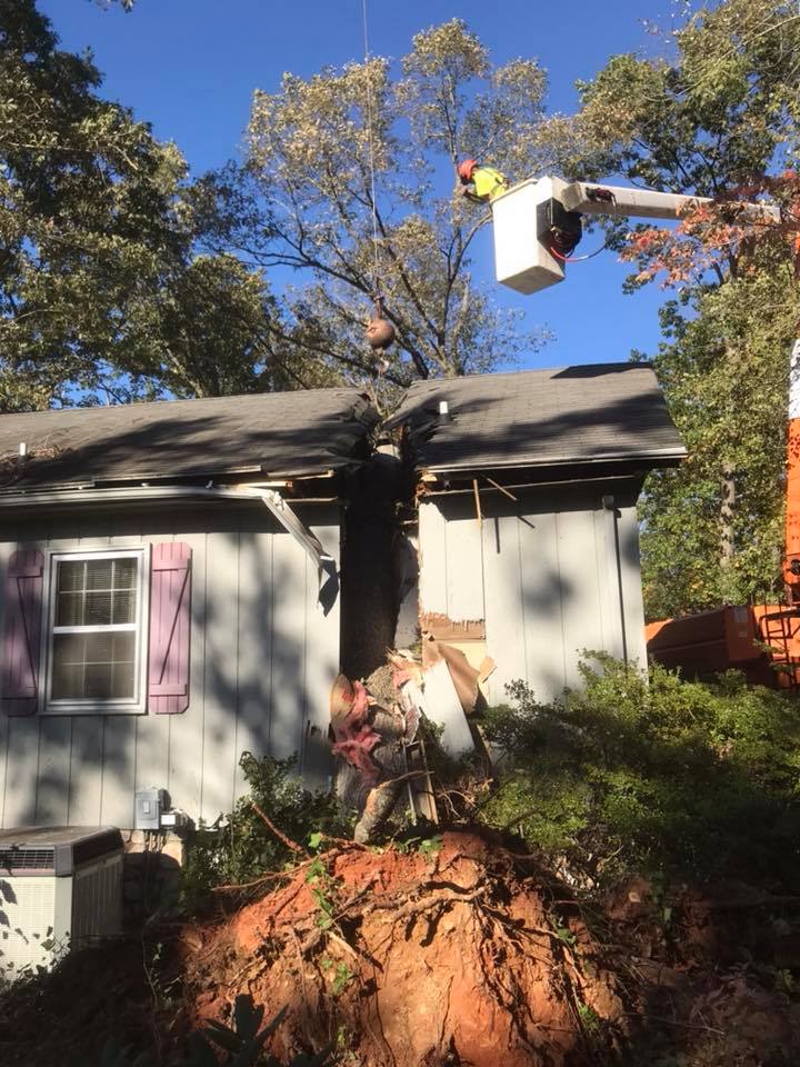 Storm Damage Hickory, NC Absolute Tree Care of Hickory, LLC