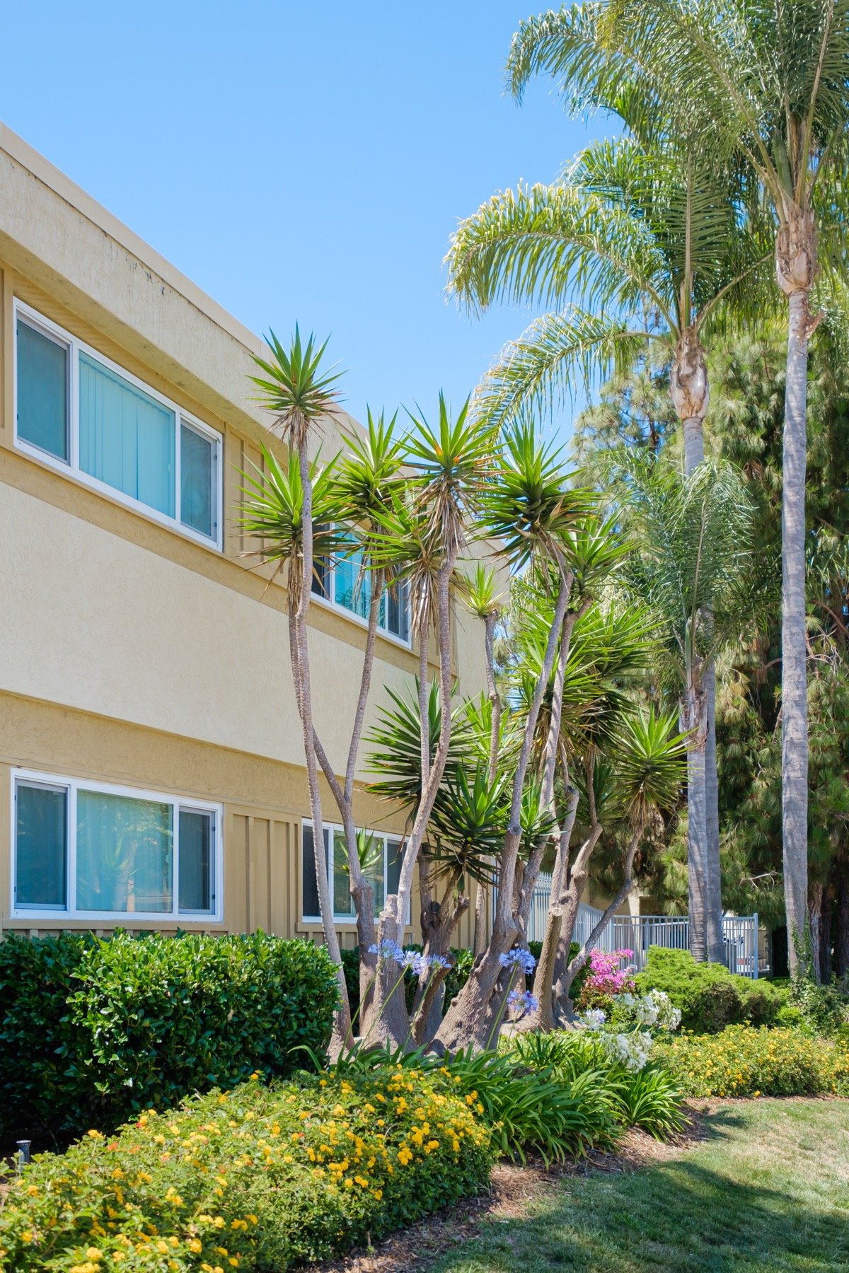 Clairemont, CA Apartments for Rent Vacancies in the San Diego Area.