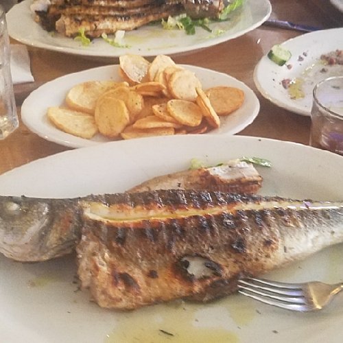 Three Brothers Restaurant Polish Restaurant Plymouth, MI