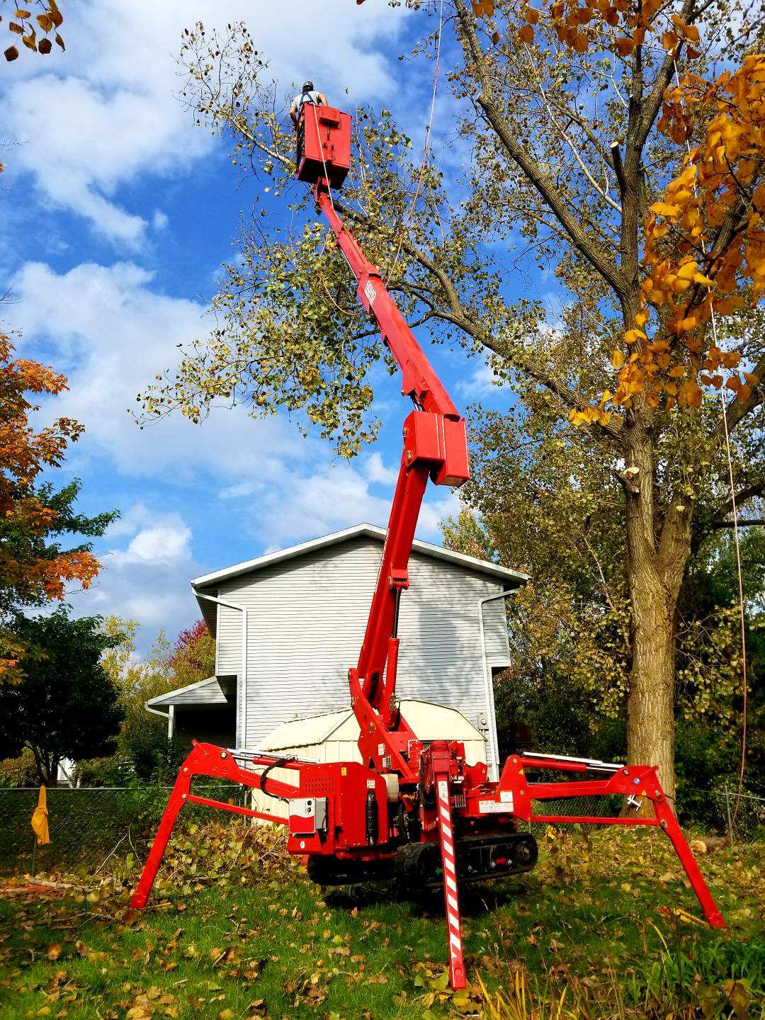 Tree Removal & Trimming Madison, Middleton WI Lot Clearing Services