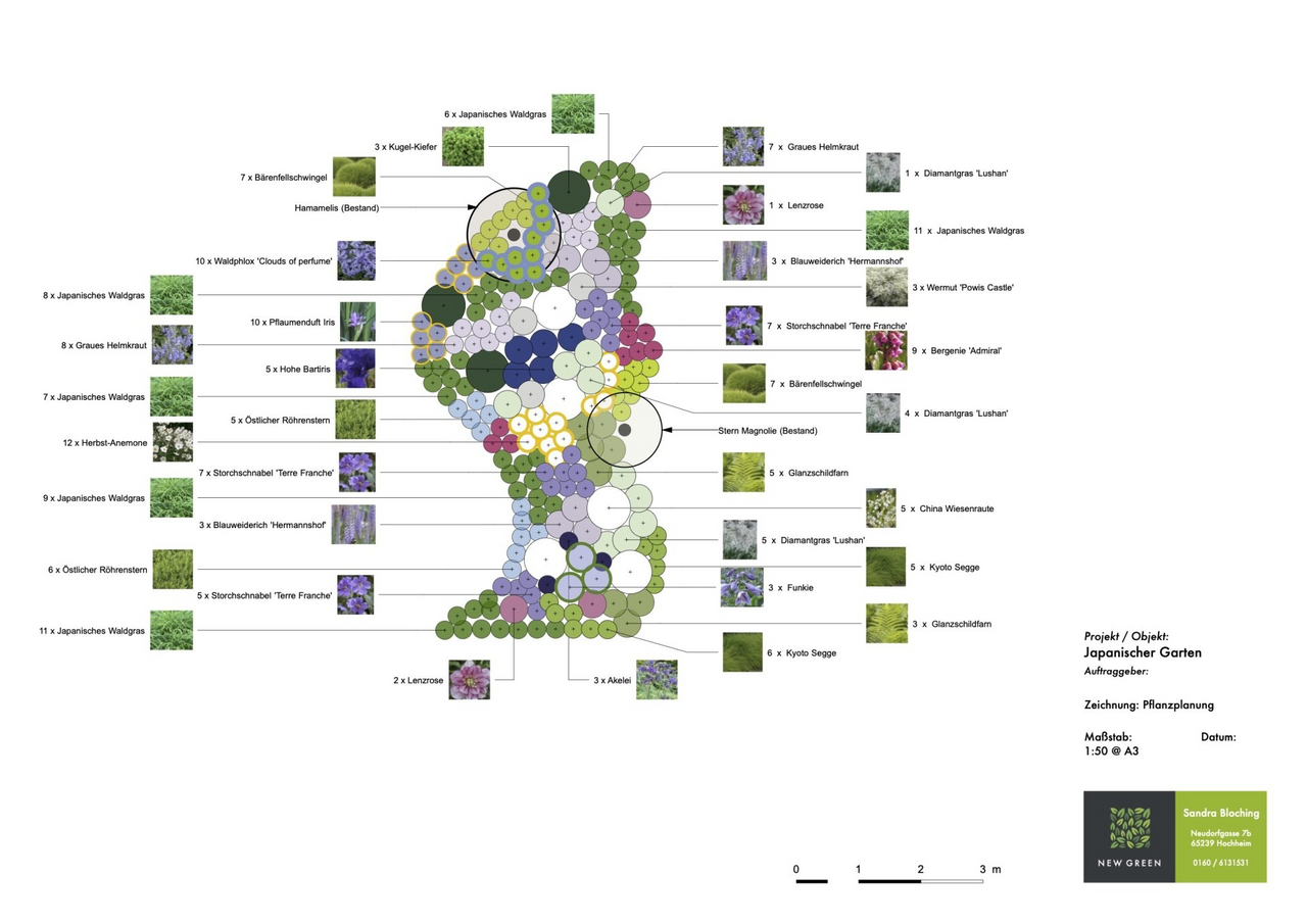 Garten Design, Gartenplanung Sandra Bloching