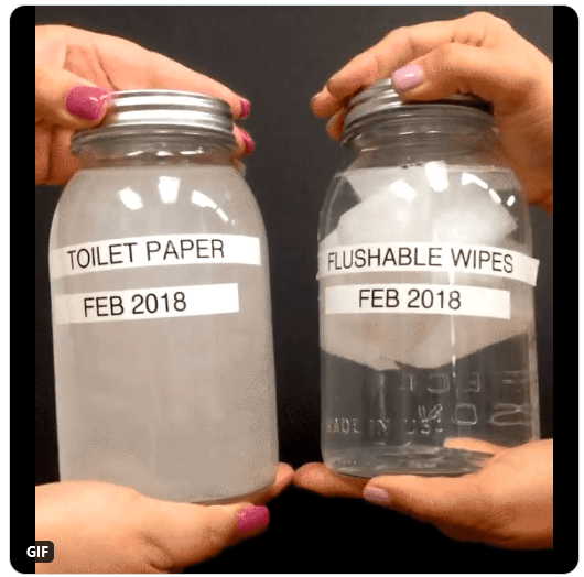 Are Flushable Wipes REALLY Safe To Flush?