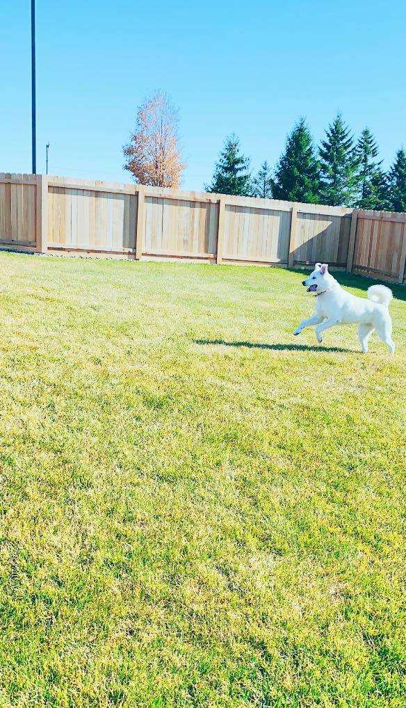 Kennel Stoughton, WI Quarry Kennels