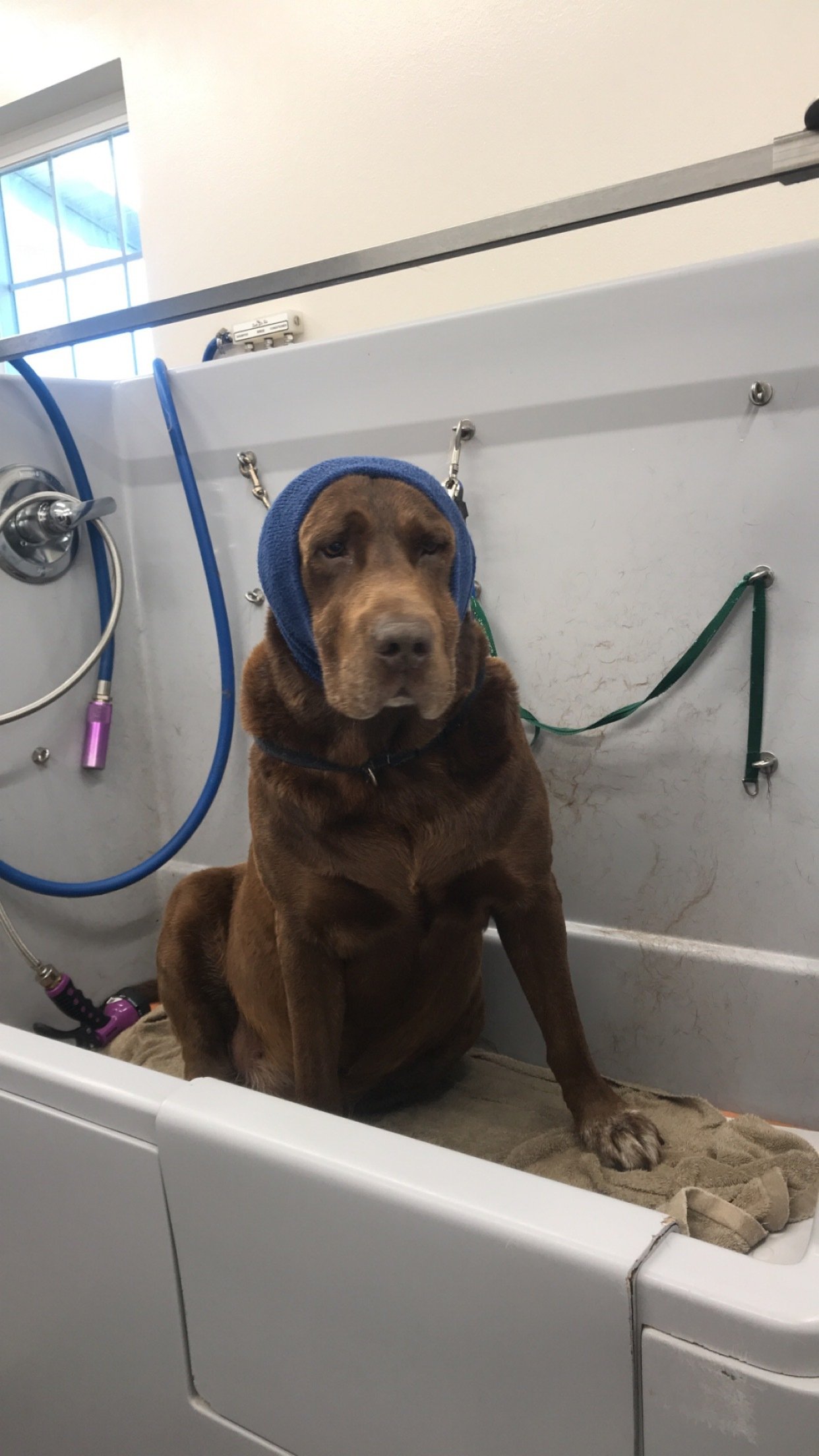 Kennel Stoughton, WI Quarry Kennels