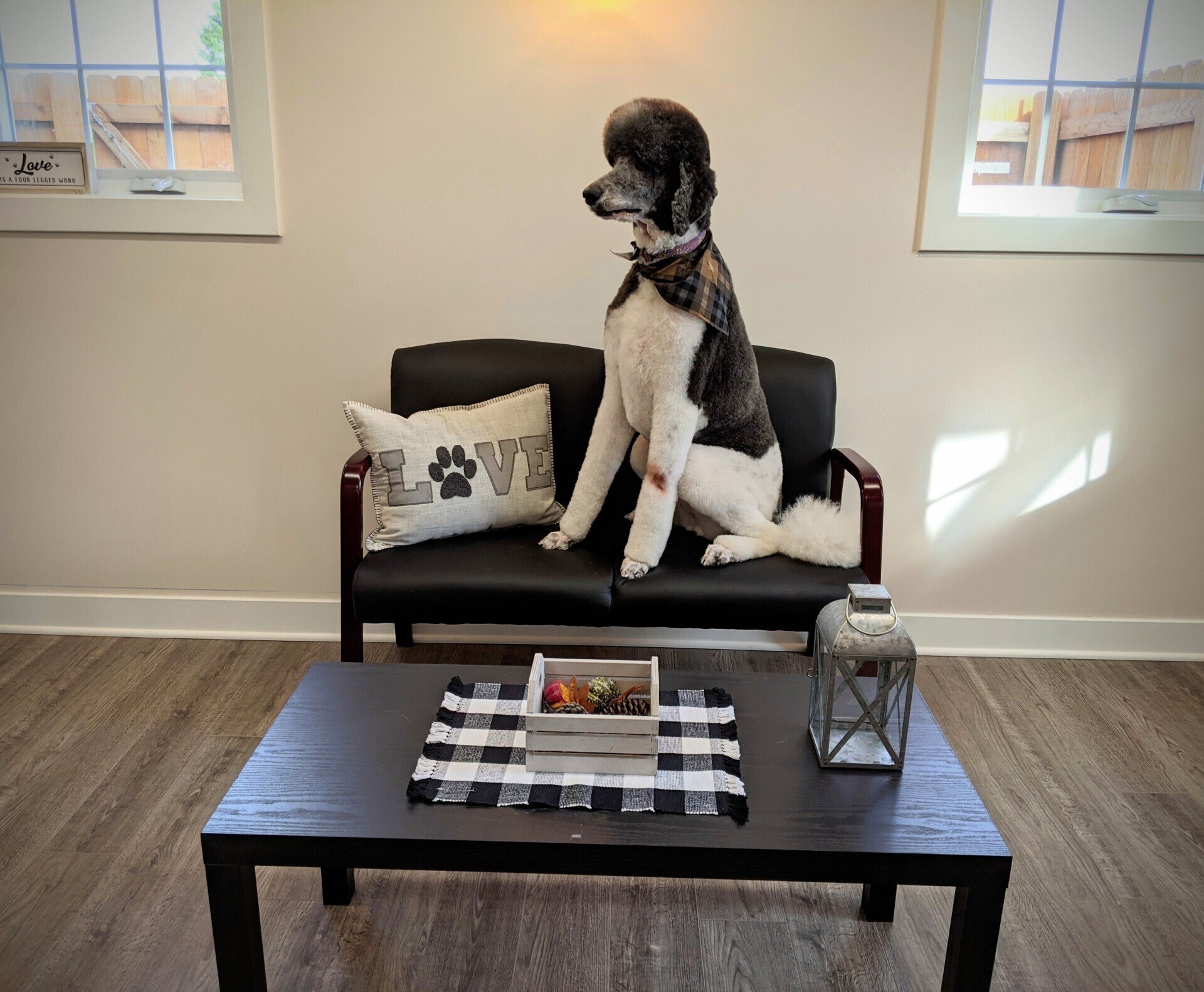 Kennel Stoughton, WI Quarry Kennels