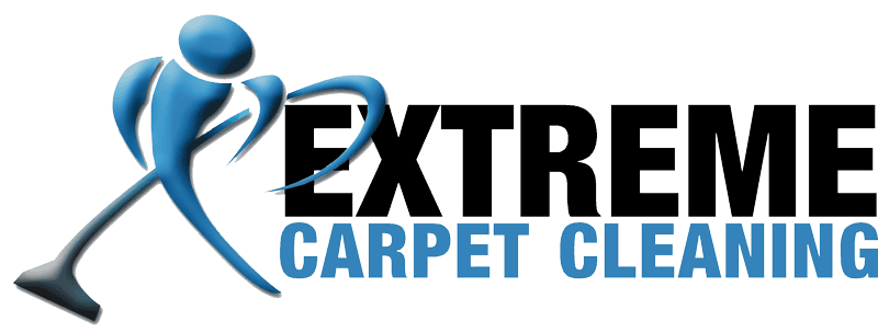 extreme carpet cleaning christchurch nz carpet cleaning