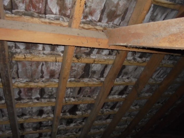 Subfloors, Roofs, Attics and Internal work done by expert 