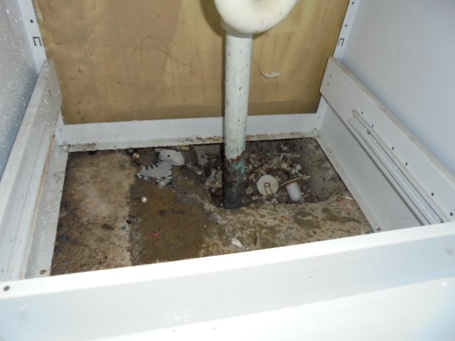 Subfloors, Roofs, Attics and Internal work done by expert 