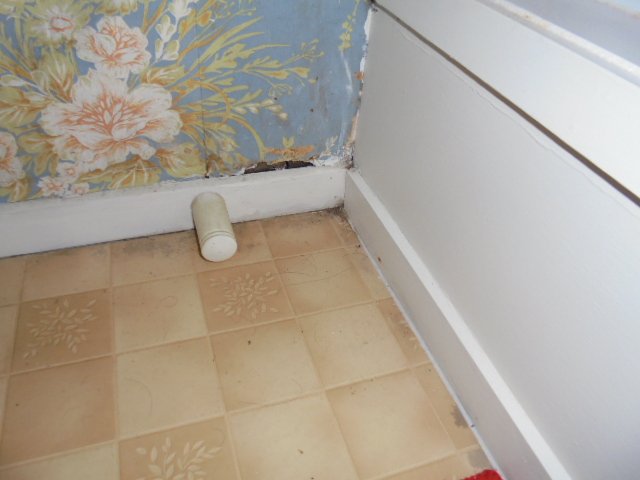 Subfloors, Roofs, Attics and Internal work done by expert 