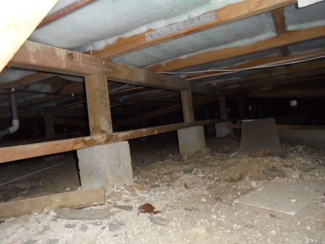 Subfloors, Roofs, Attics and Internal work done by expert 