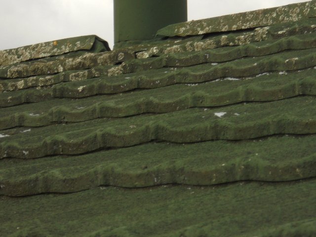 Subfloors, Roofs, Attics and Internal work done by expert 