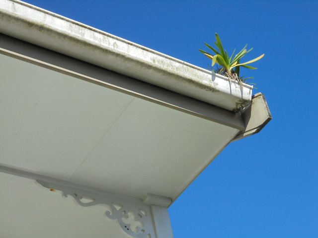 Plumbing, decking and cladding work done by experts 