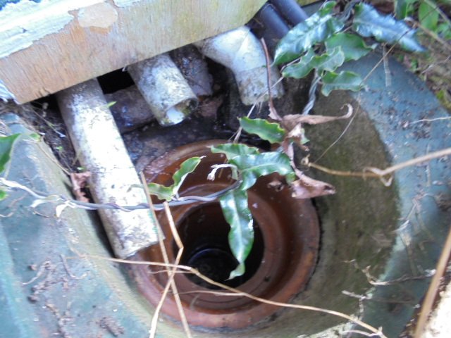 Plumbing, decking and cladding work done by experts 