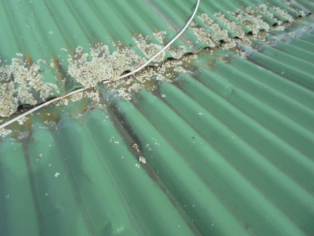 Subfloors, Roofs, Attics and Internal work done by expert 